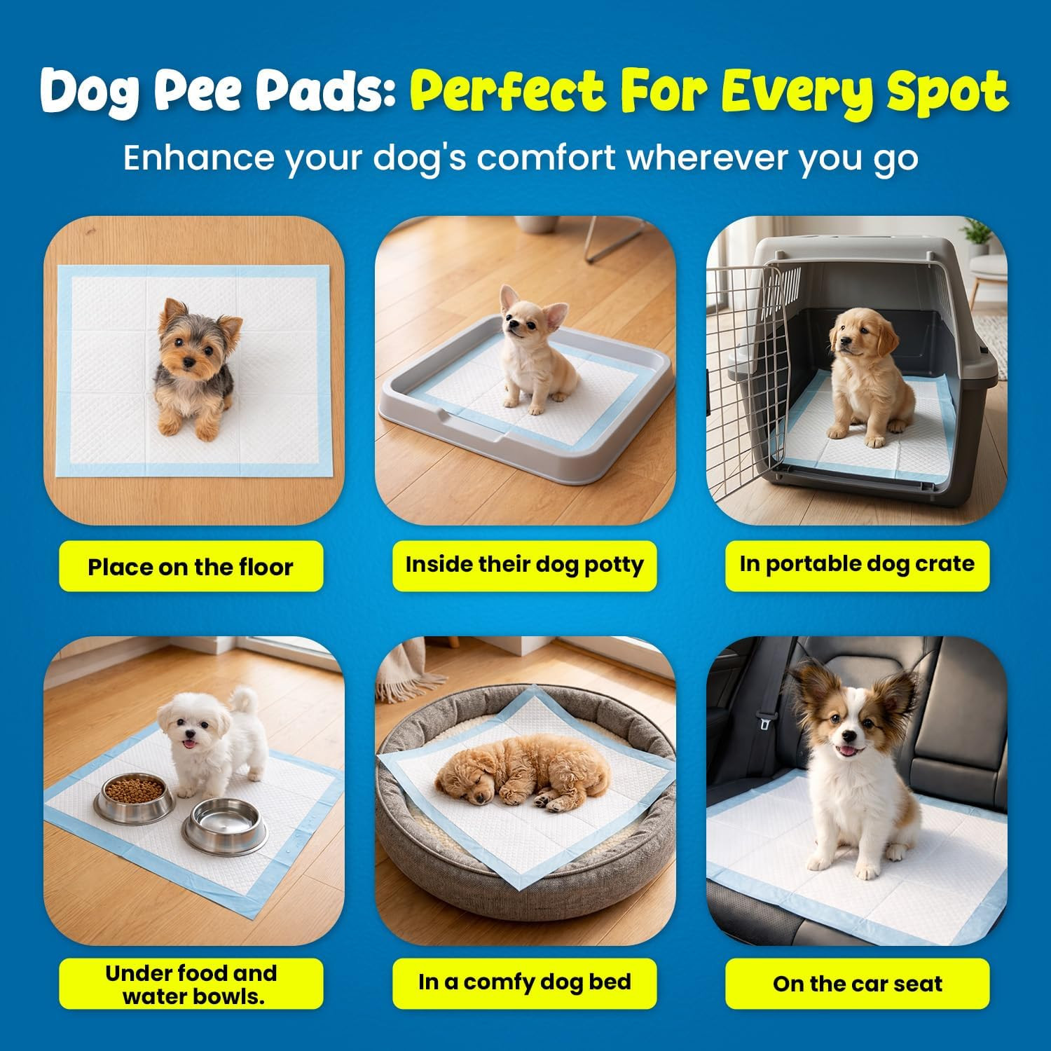 FPN Training Pads for Dogs 100 Count | (Small, 13X18 Inch) Pee Pads for Dogs