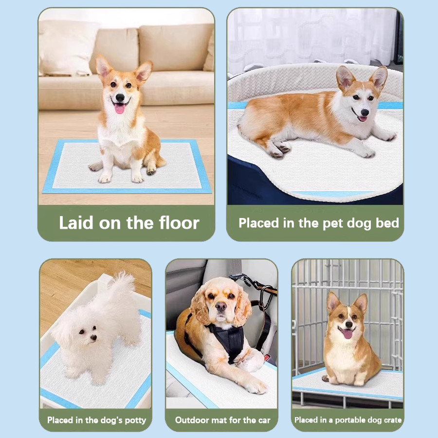 Universal Pet Training Pads, 5-Layer High Absorbency, Large Capacity