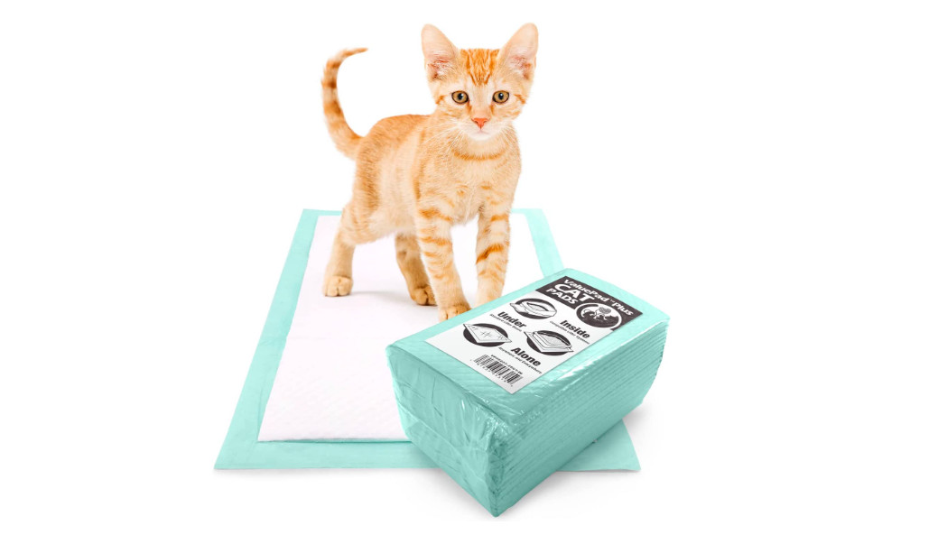 Disposable Cat Litter Pads All Absorb No Odor Cats Kittens Super Absorbent 25 Pc