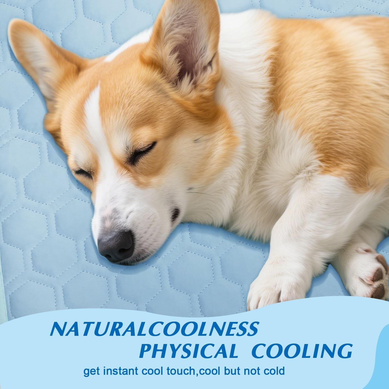 Cooling Mat for Dogs & Cats, Thick Breathable Dog Cooling Mat Q-MAX 0.45 | Ch…
