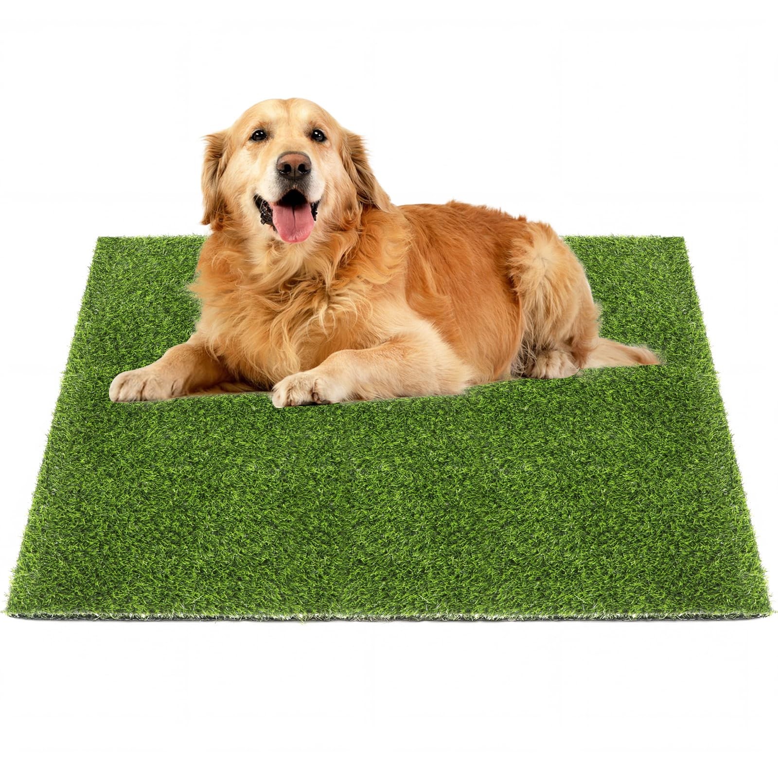Ondware Grass Pad for Dogs Potty 39.3×31.5 Inches, 39.3×31.5 Inch, Green