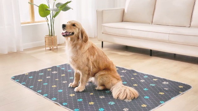 Washable Waterproof Puppy Pads 2PCS – Fast Drying Reusable Training Mat 24″x36