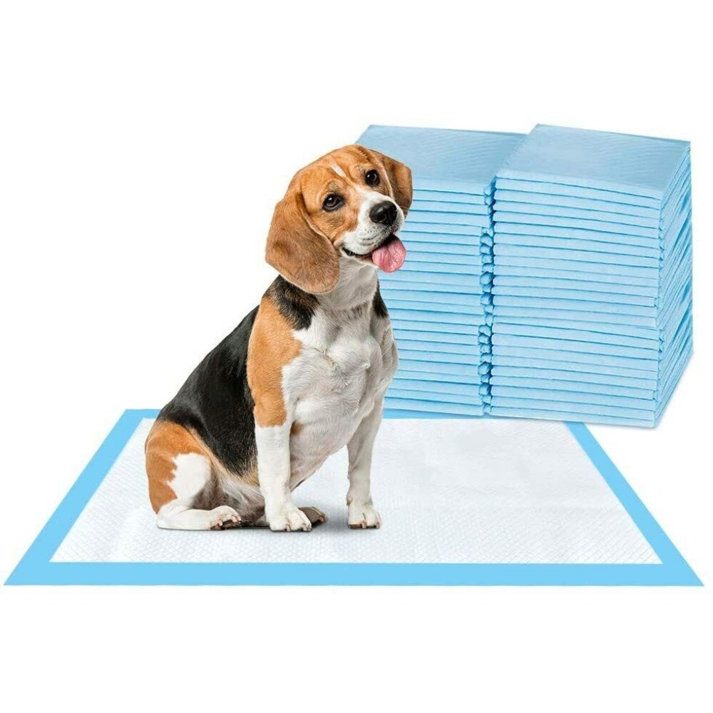 Super-Absorbent Waterproof Dog & Puppy Pet Training Pad Housebreaking Pet Pad US