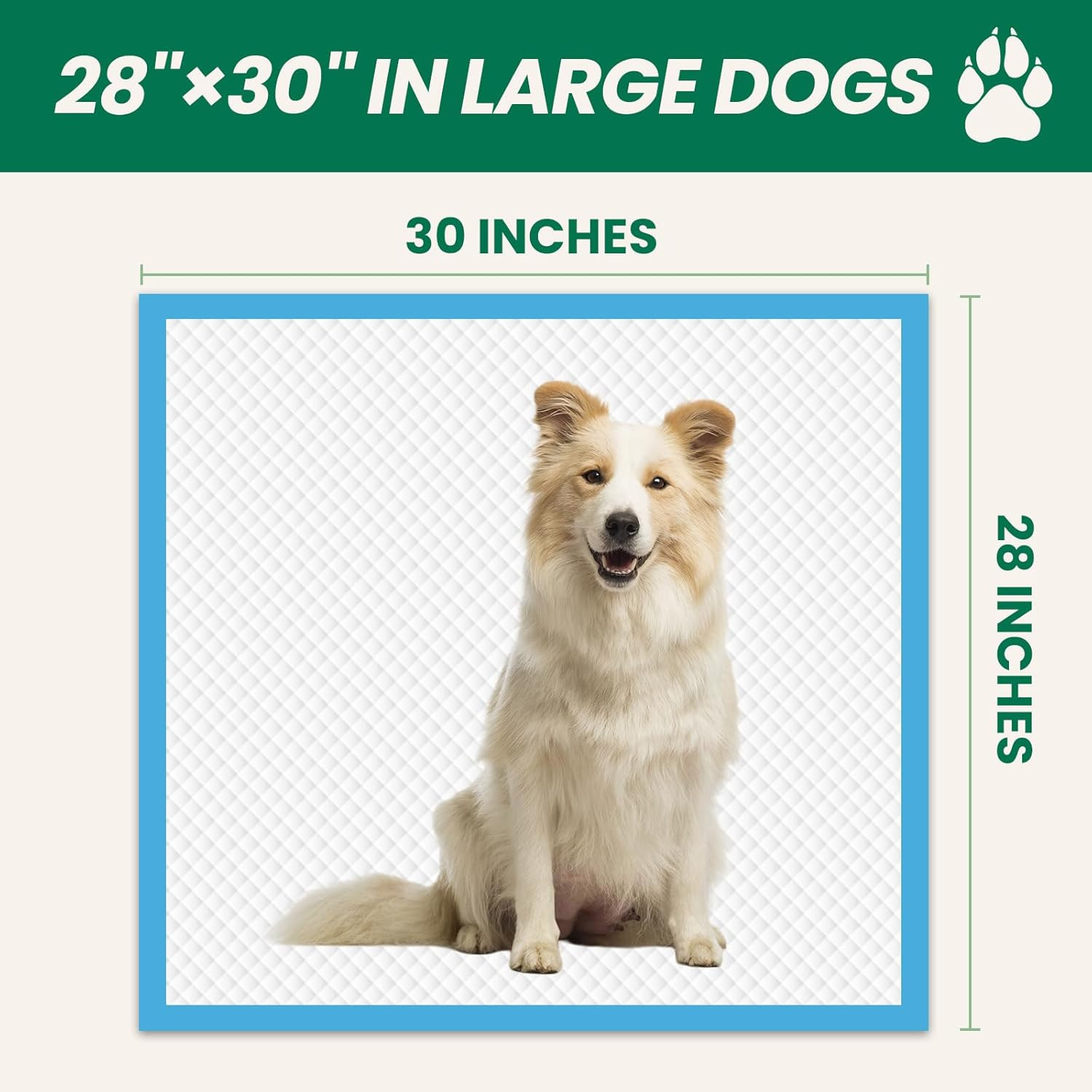 100 Count Large Dog & Cat Puppy Pee Pads – 28″X30″ Absorbent Potty Training Pads