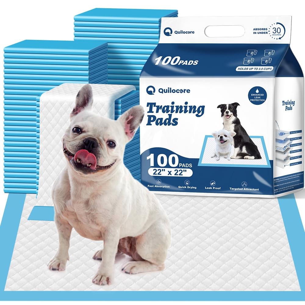 100 Count 22” x 22” Disposable Dog Pee Pads, Super Absorbent Leakproof Puppy …