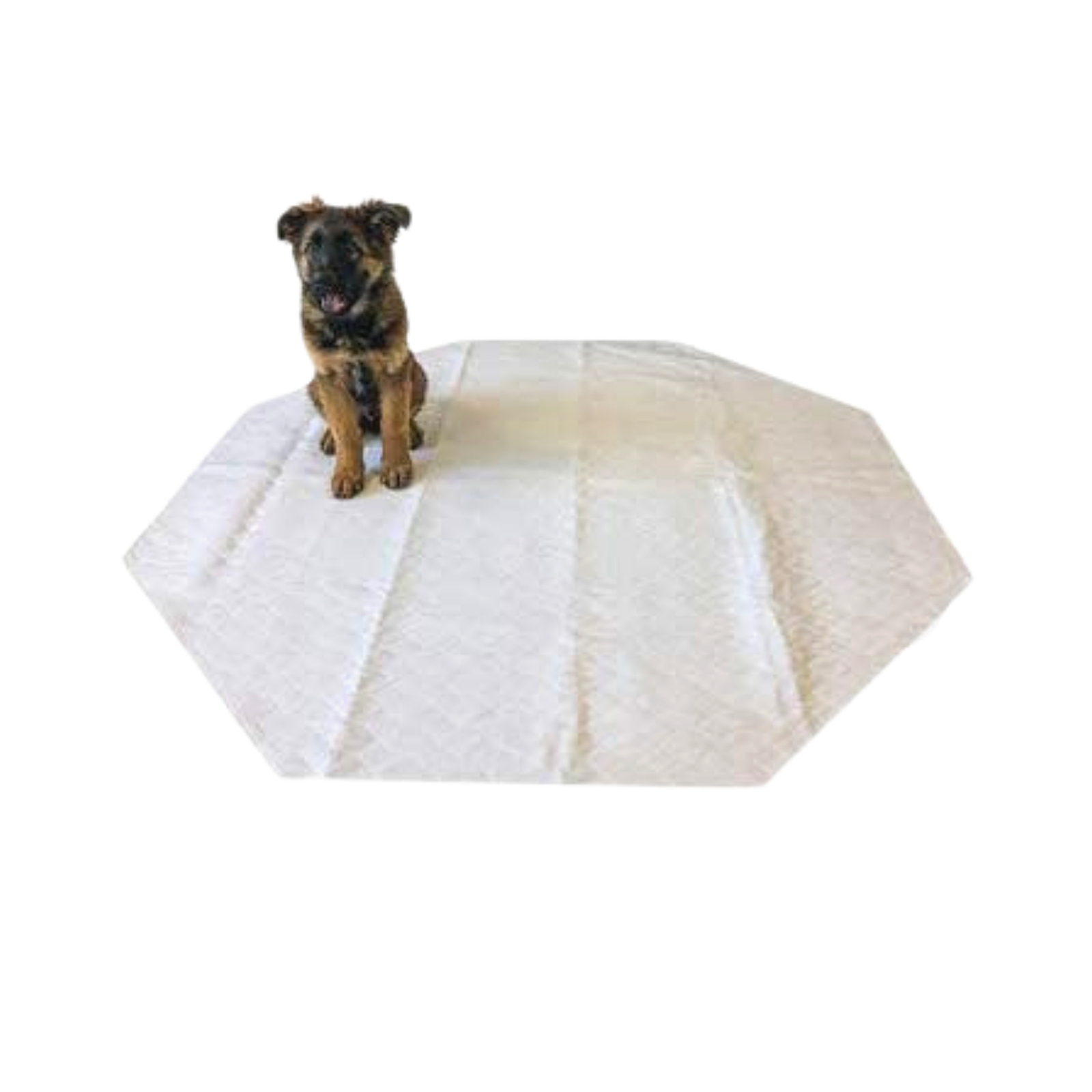 Midlee Reusable Octagon Playpen Dog Pee Pad-64″ x 64″ Set of 2