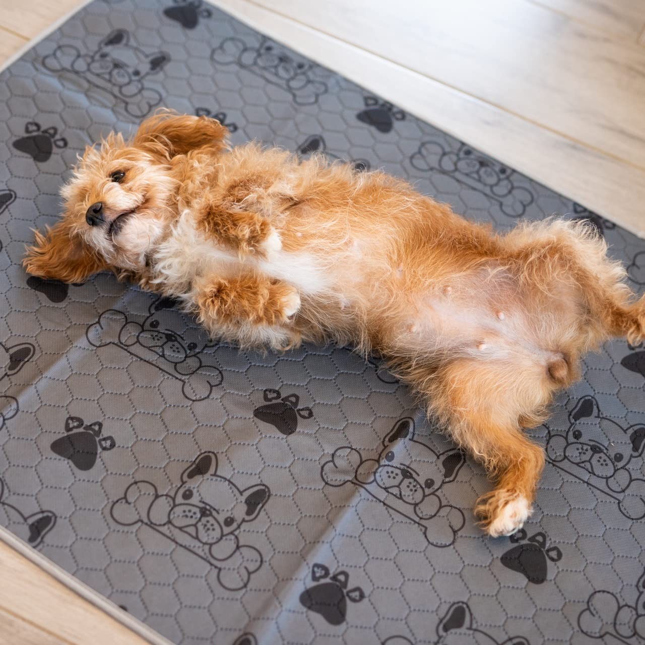 2 PCS 28×35 Inch Dark Gray Quilted Reusable Washable Pet Training Pee Pad