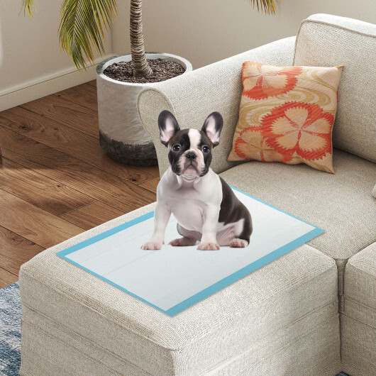 Dog and Puppy Pee Pads 24″ x 17″ (300 Counts) for Potty Training-Blue