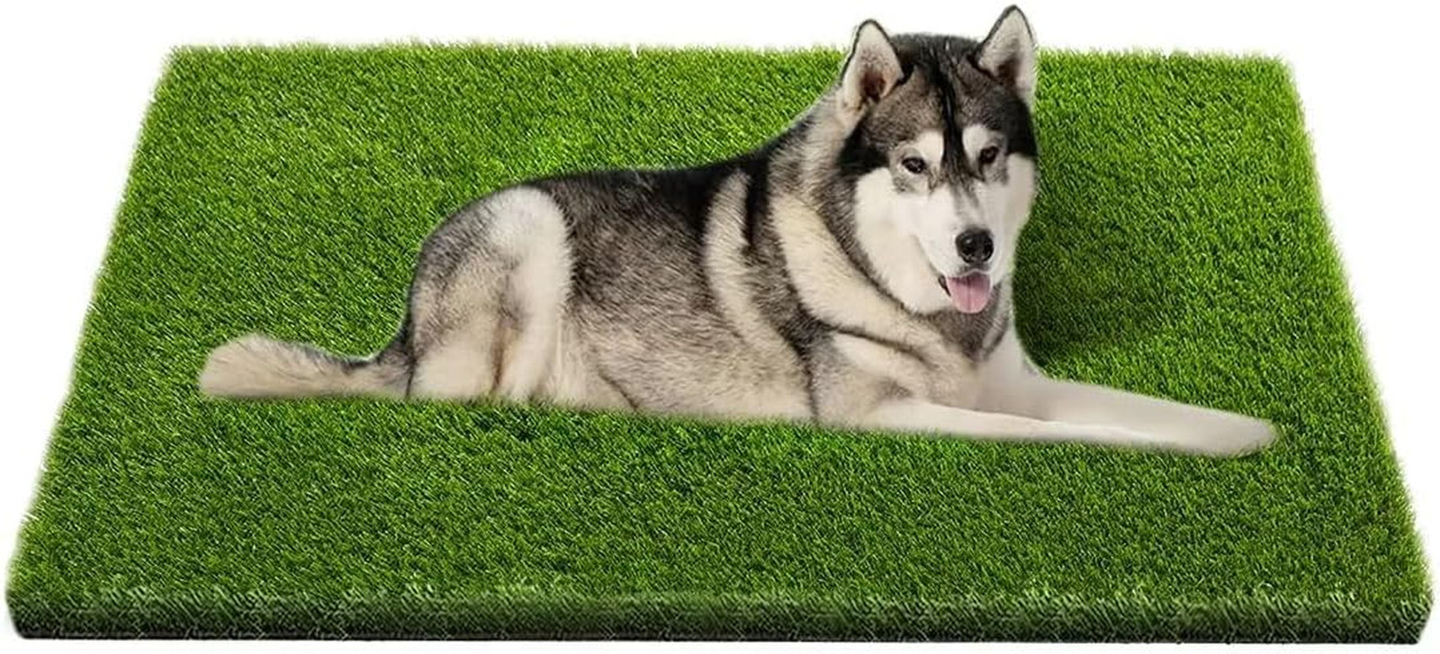Artificial Grass, Professional Dog Grass Mat, Potty Training Rug and Replacement