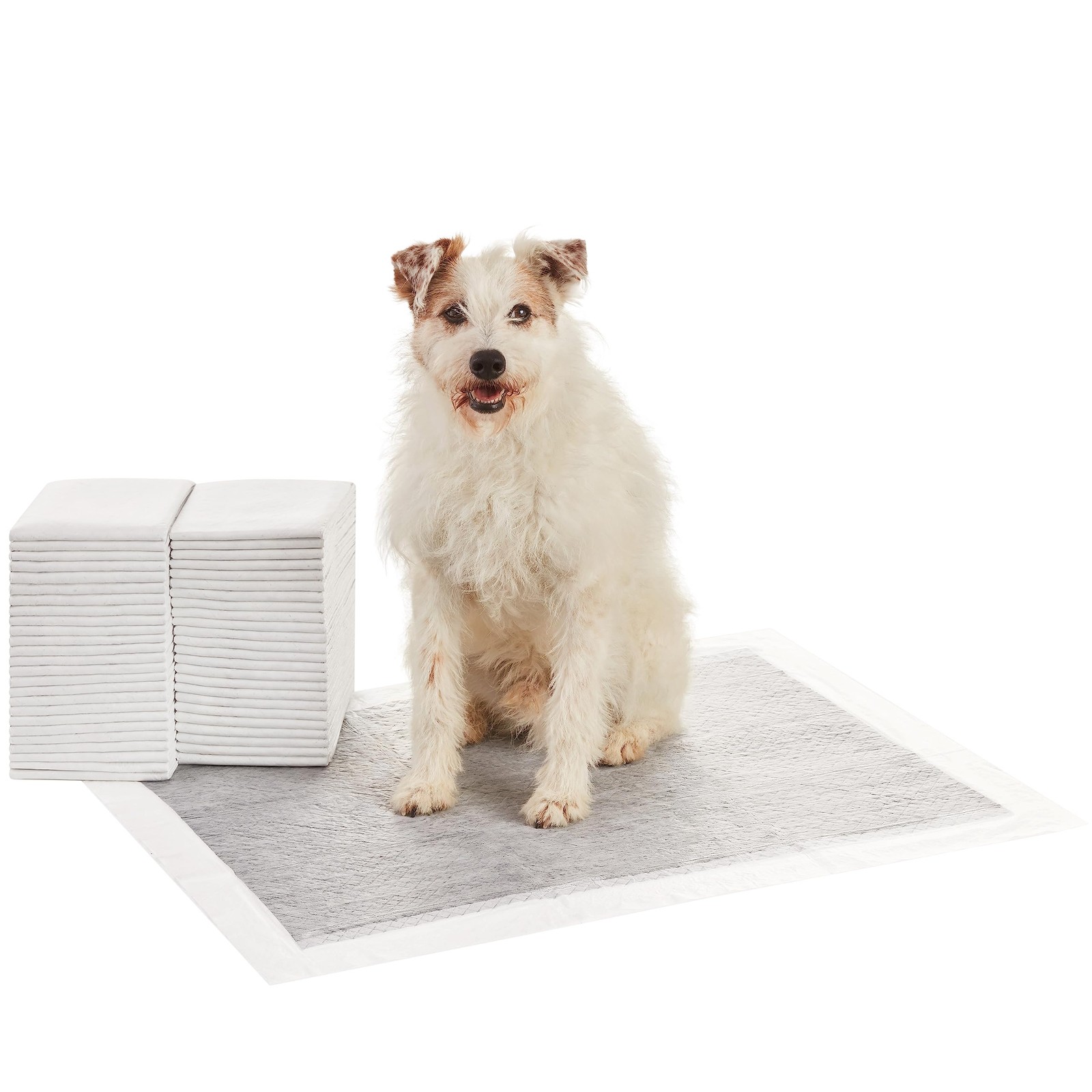 Amazon Basics Carbon Odor Control Dog and Puppy Pee X-Large (28″x34″), Gray
