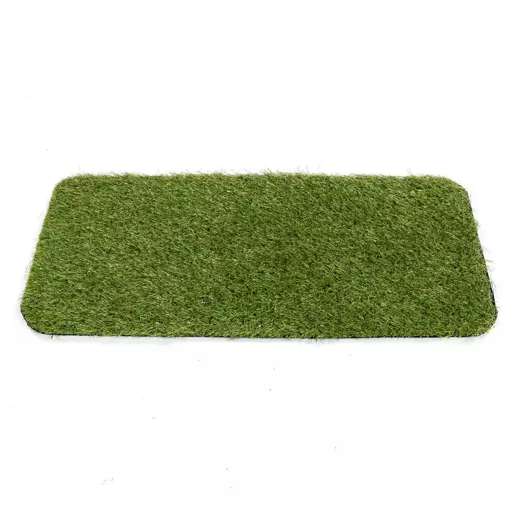 Pet Training Collection Easy Clean Indoor/Outdoor Reusable Training Grass Pad, 1