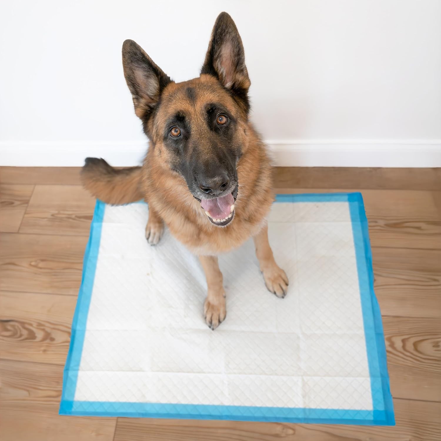 Superior Performance 40 Count Extra-Large Quilted Dog Pee Pads, 28″ x 34″