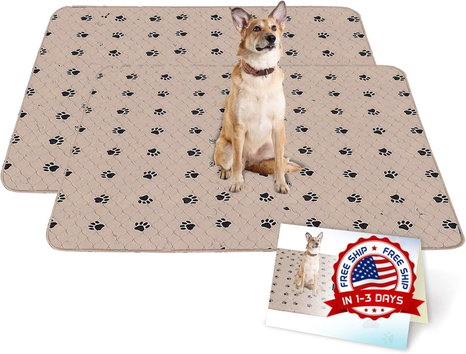 Juego de 2 Tapetes de Entrenamiento Lavables e Impermeables para Perro