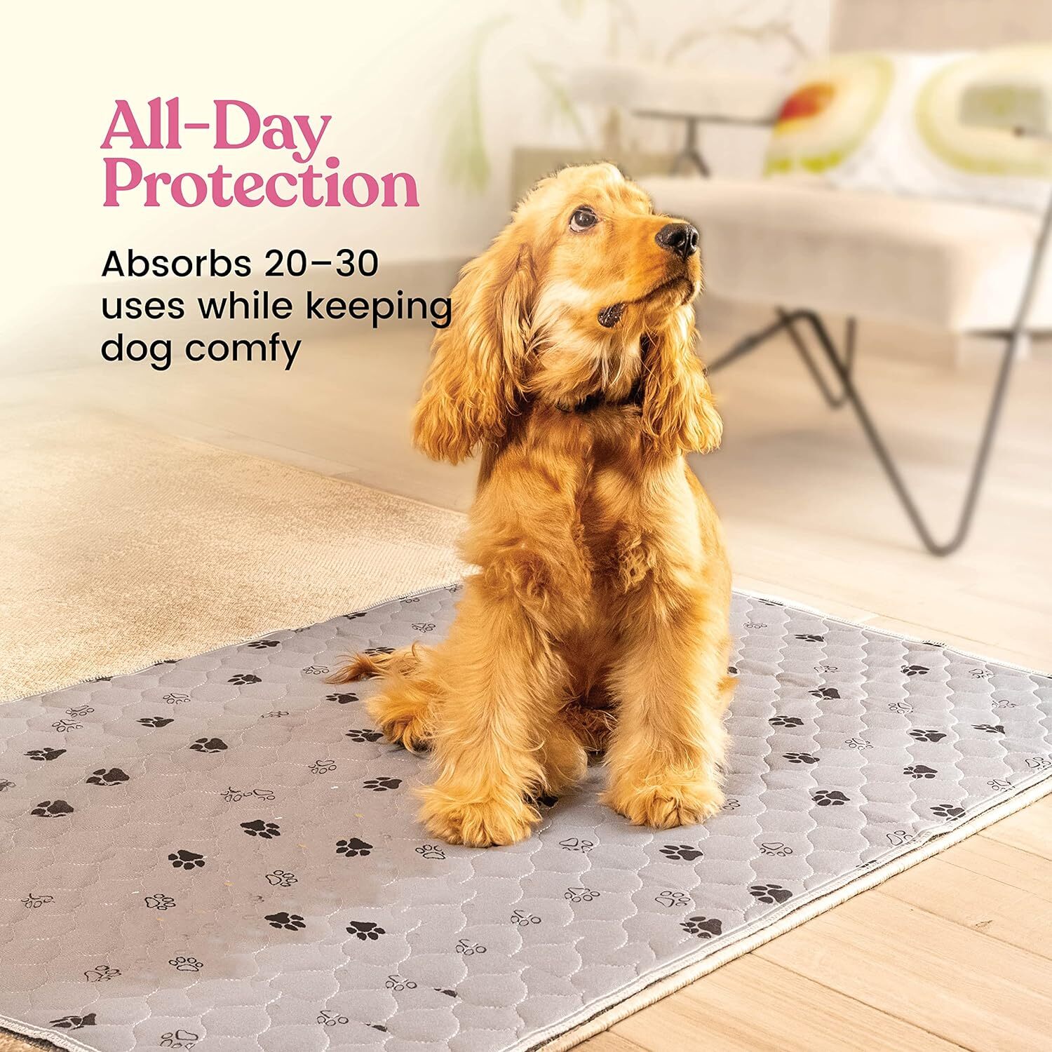 Almohadillas Para Orinar Lavables Super Absorbentes Para Perros – Paquete De …