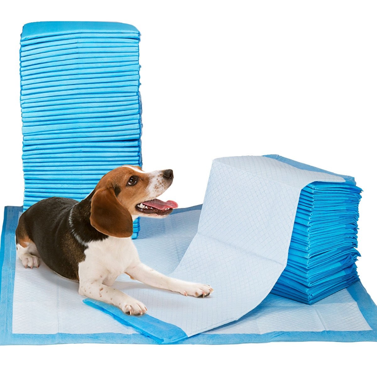 Petfamily Super-Absorbent 24 by 24 Inches Dog Training Pads – 100 Count of Pads