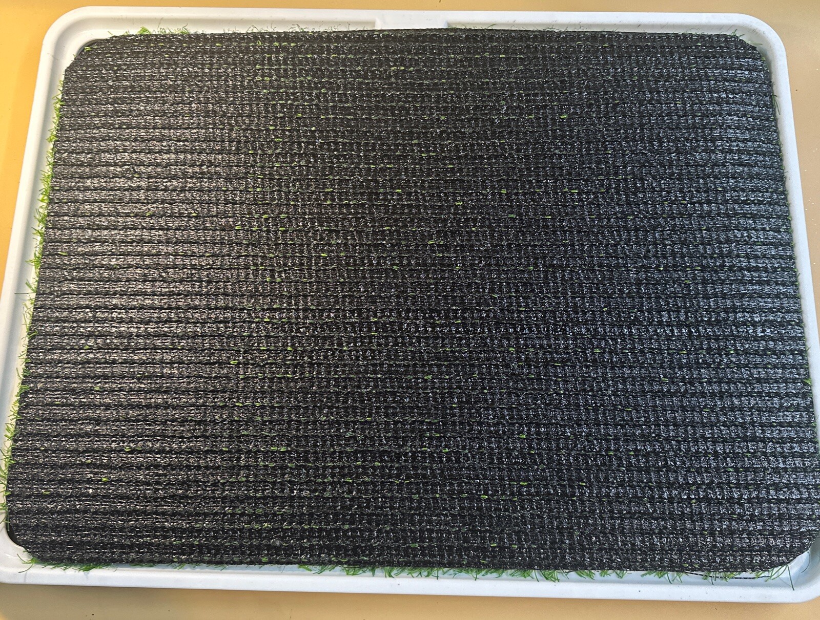 Dog Grass Pad 18×24