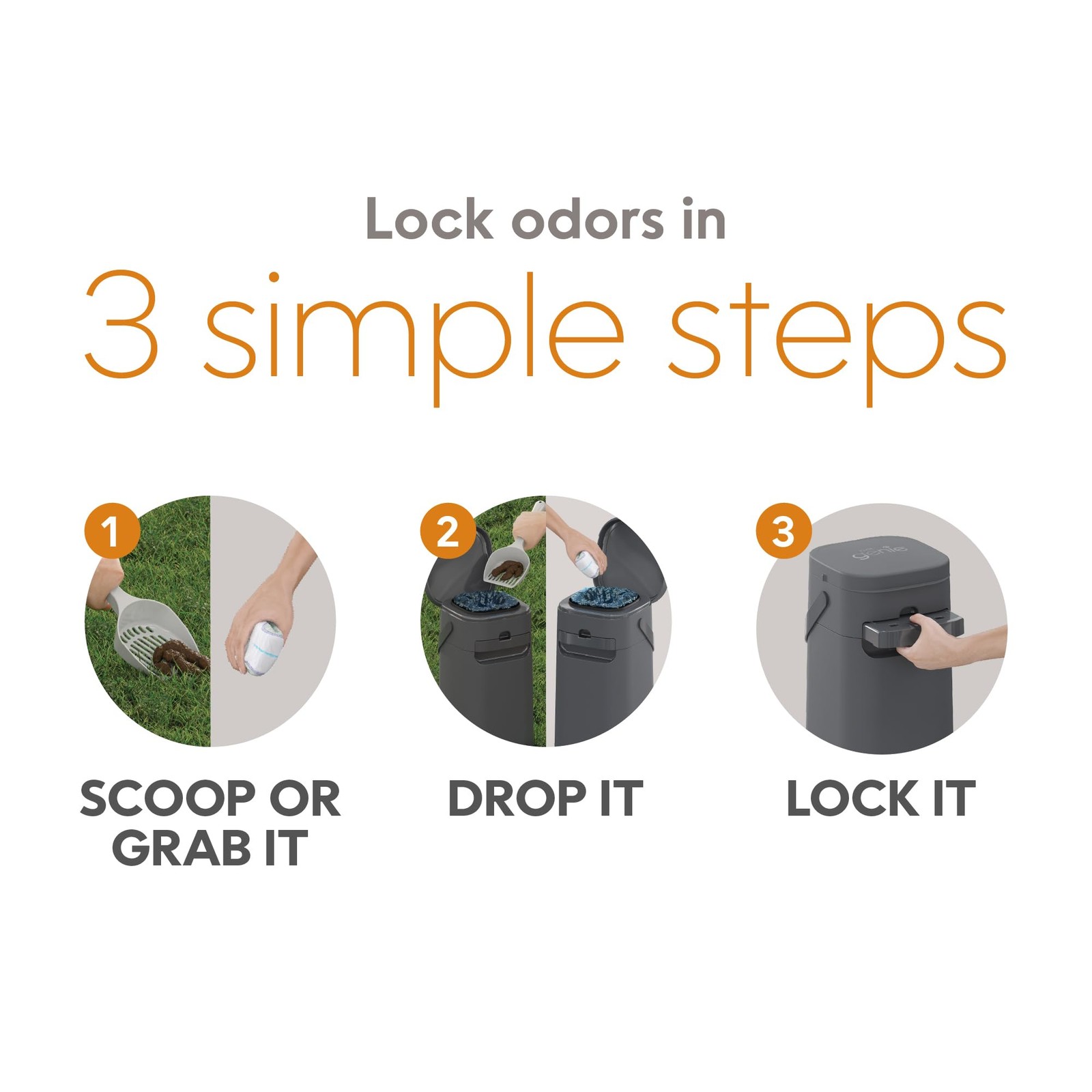 Pail | Dog Waste Disposal System for Outdoor and Indoor Odor Control | Dog Po…