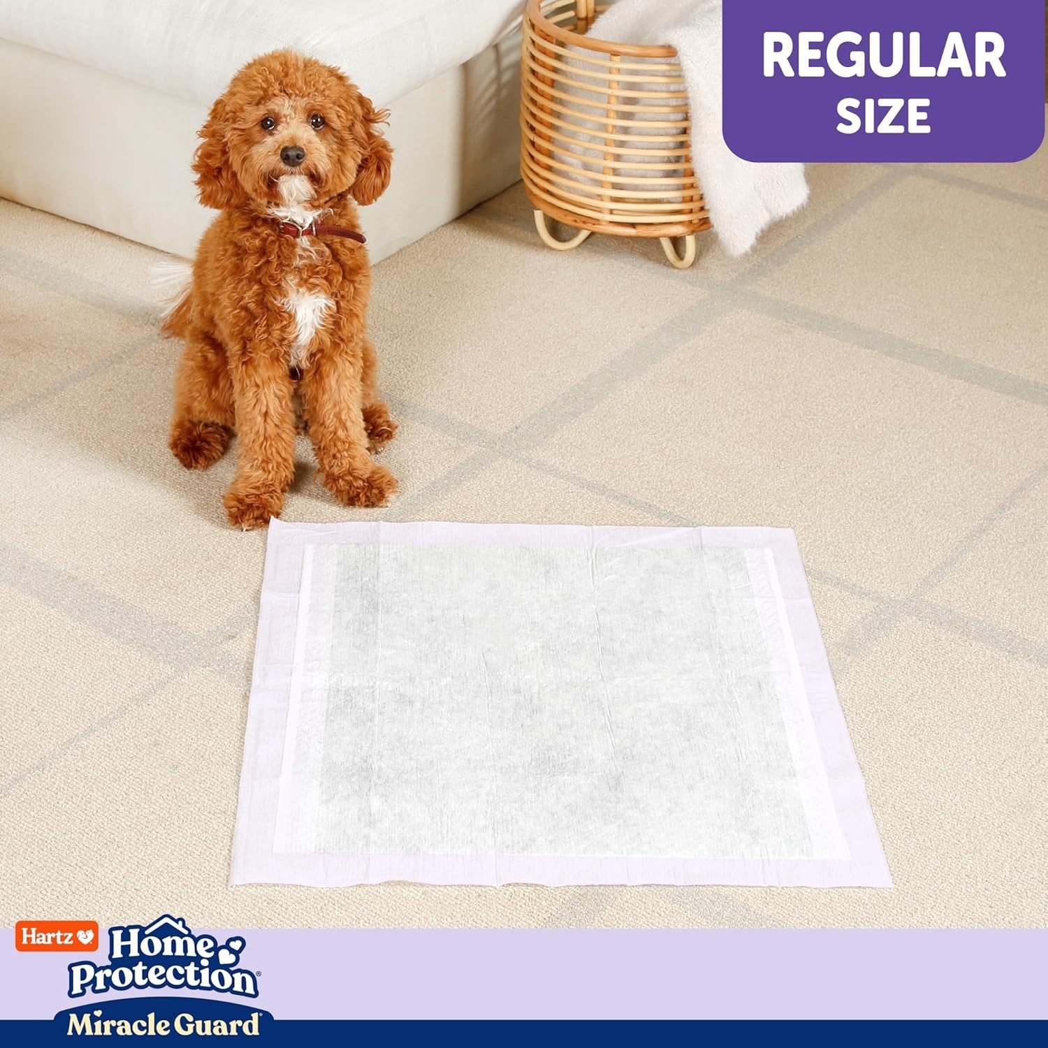 Miracle Guard Dog and Puppy Dog Pads Max Absorbency 24 Hour Use Odor Eliminat…