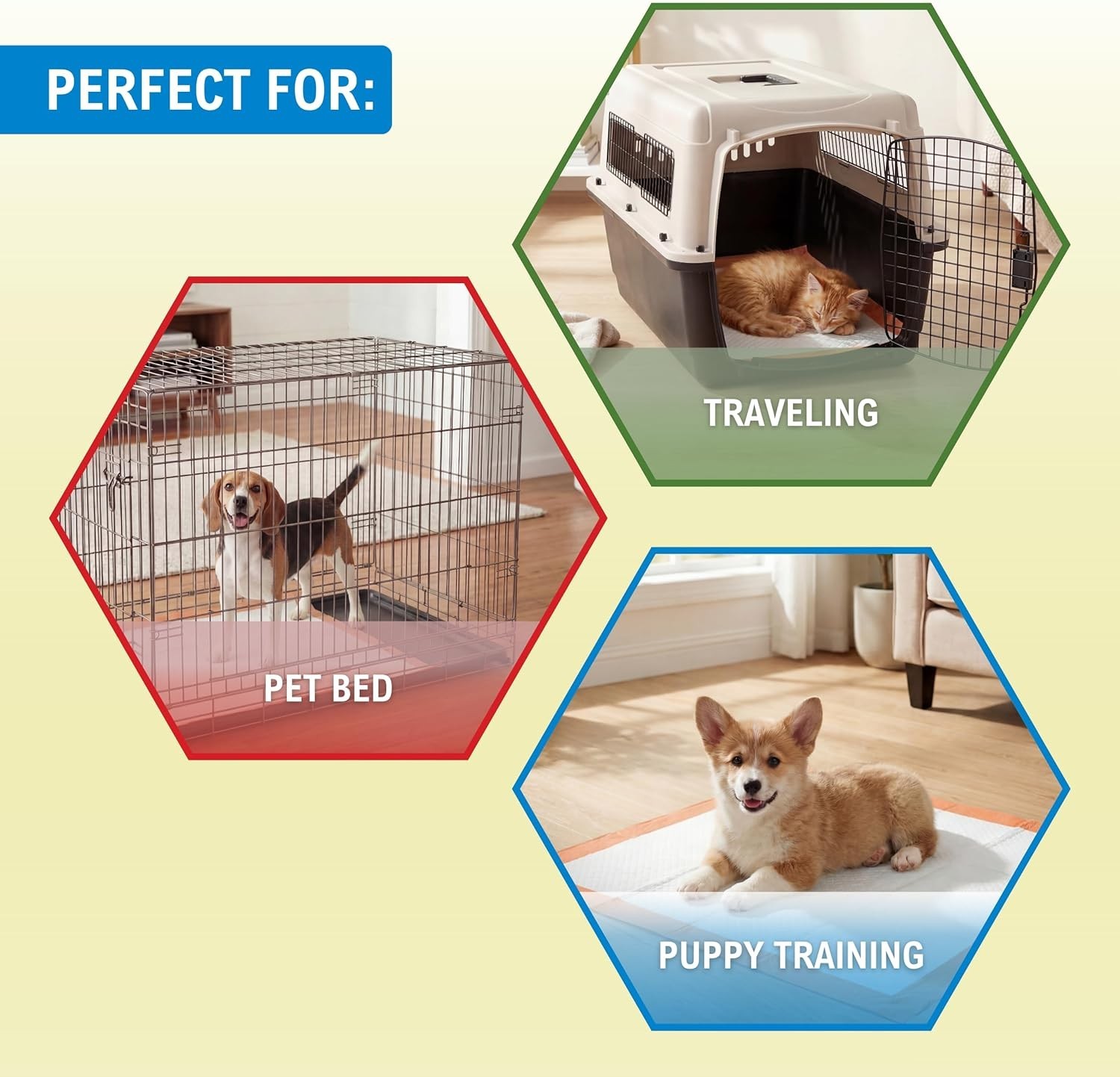 Dog Training Pads Compatible with Most Small Medium Dogs 22×24 Inch 5 Pack