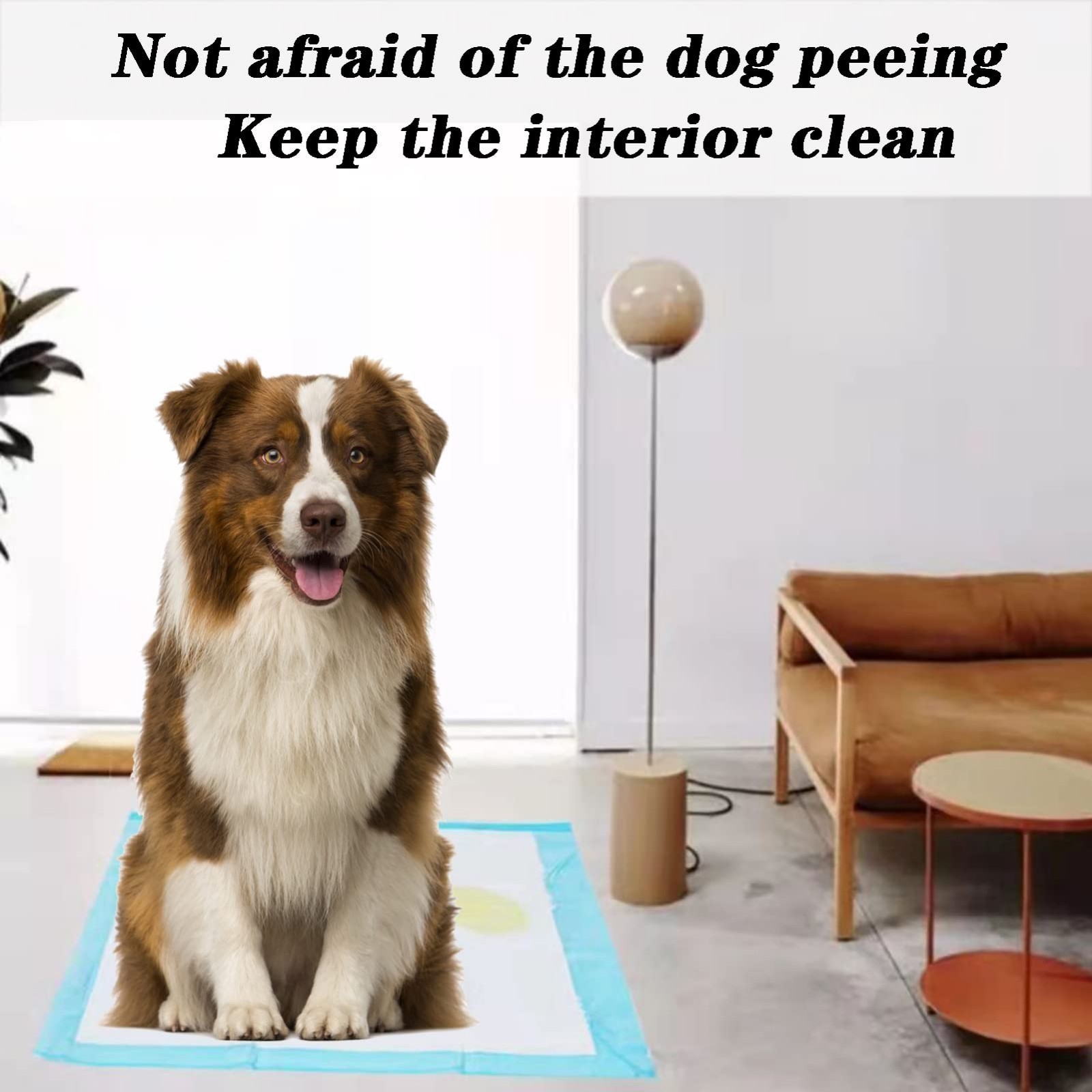 Extra Large Dog Pee Pads 32″x36″ – 60 Count Absorbent Leak-Proof Puppy Training