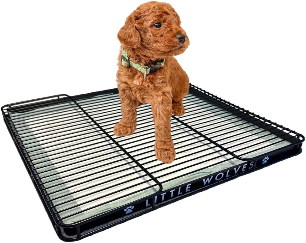 Puppy Potty Tray – 22X22 Shred-Proof Training Tray for Puppies & Small Dogs