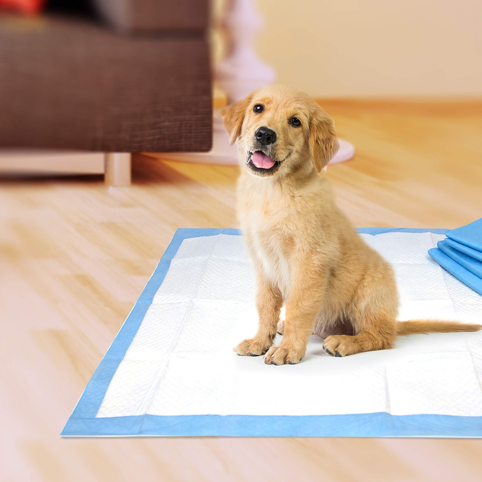 Four Paws Pet Select Pee Pads for Dogs and Puppies 100 100 Count, White