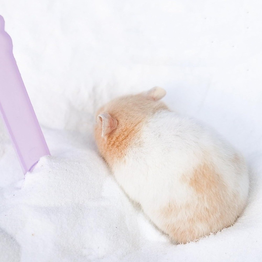 Dust Free White Bath Sand for Hamsters Chinchillas Gerbils Syrian Mice Small