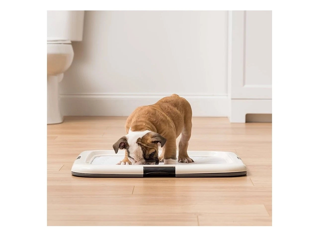 IRIS USA Pee Pad Holder -For Potty Training Regular Sized Dog Pee Pad Holder 6pk