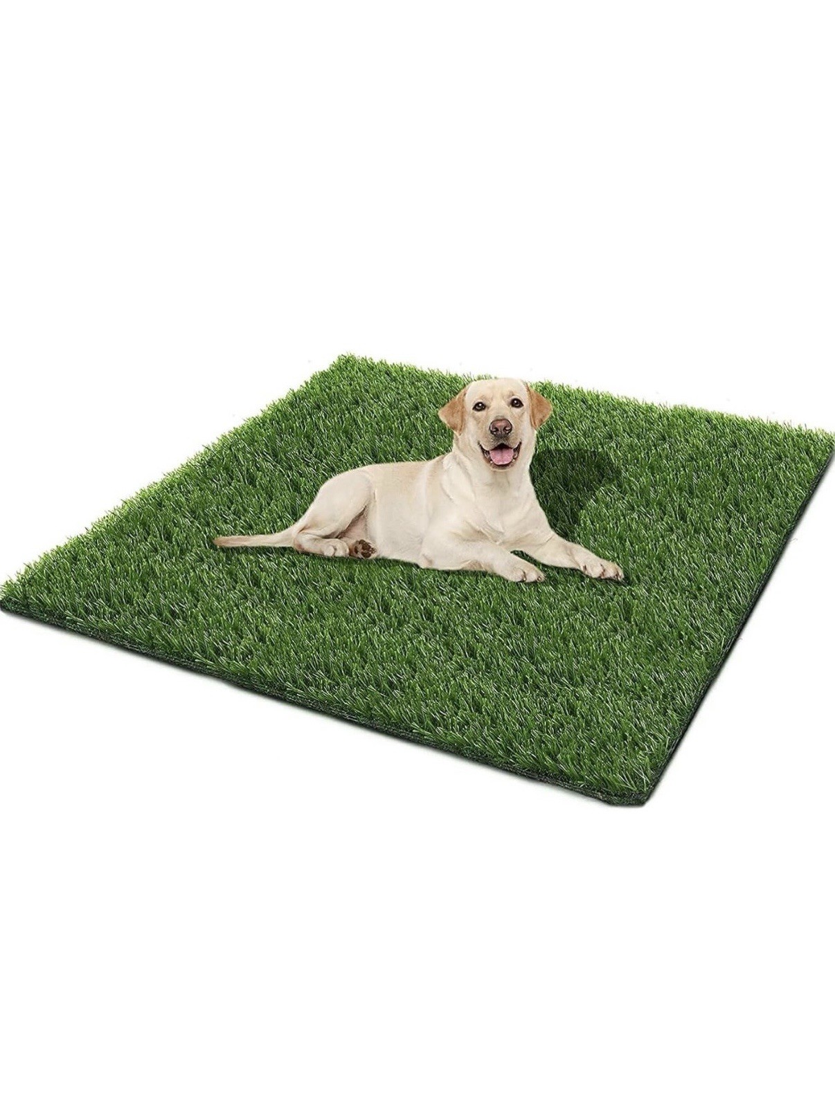 Pet Potty Trainer Grass Mat Indoor Dog Puppy Training Pad – 51.2″L x 31.5″W