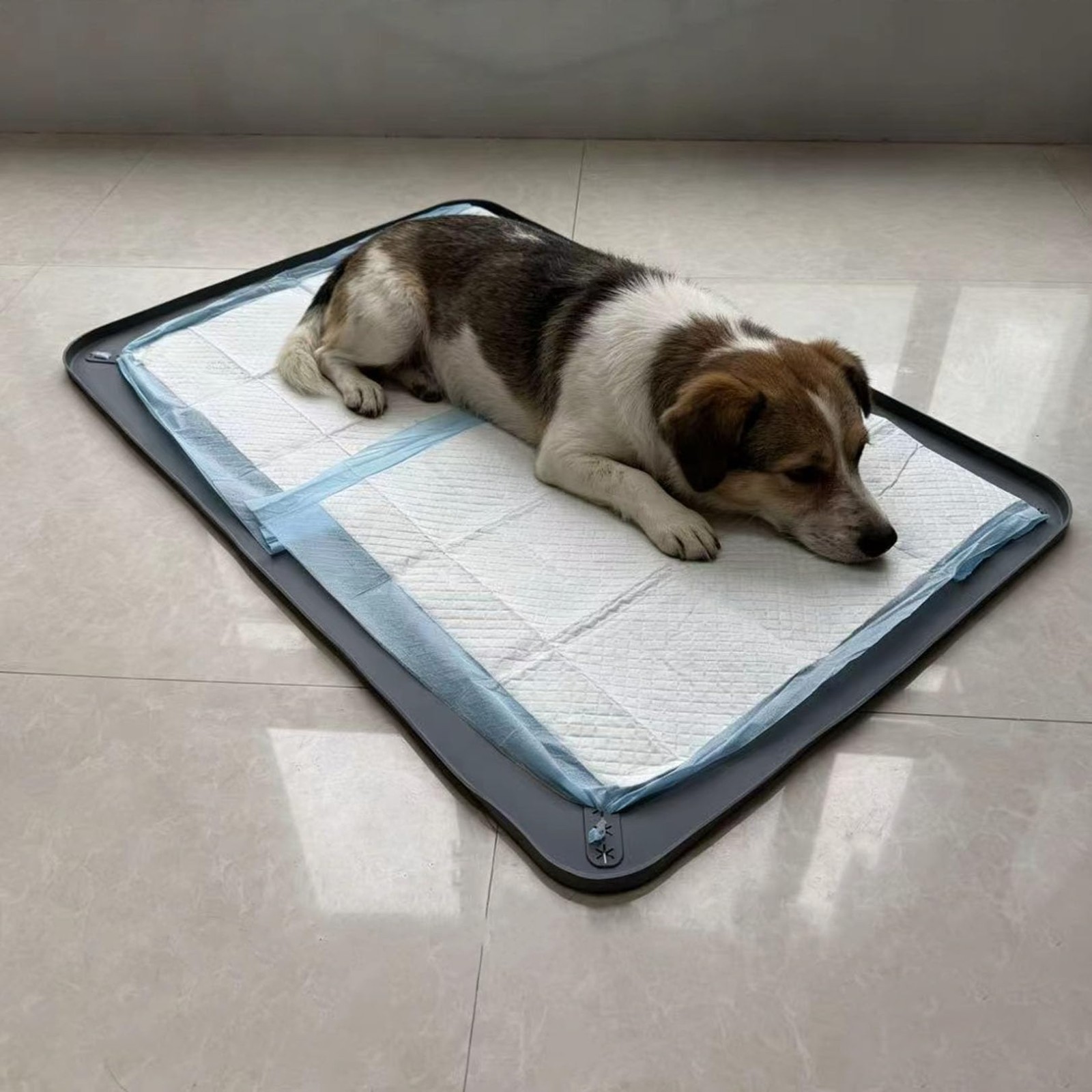 Leak-Proof Dog Pee Pad Tray Holder – 31″x21″ Silicone Mat for Pet Training, Gray