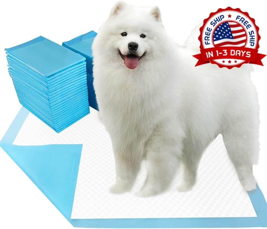 Paquete de 40 Almohadillas de Entrenamiento para Perros Extra Grandes y Secas