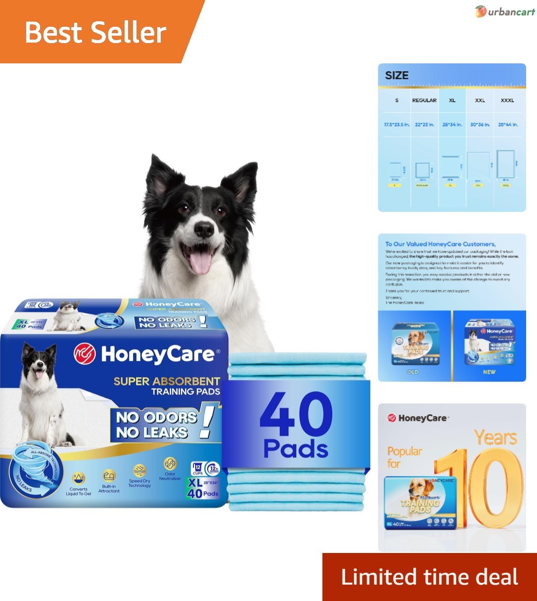 All-Absorb Ultra-Absorbent Dog & Puppy Training Pads, 40-Count