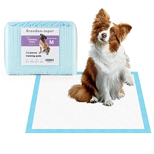 40PCS Disposable Puppy Training Pads Super Absorbent Pee Pads Medium