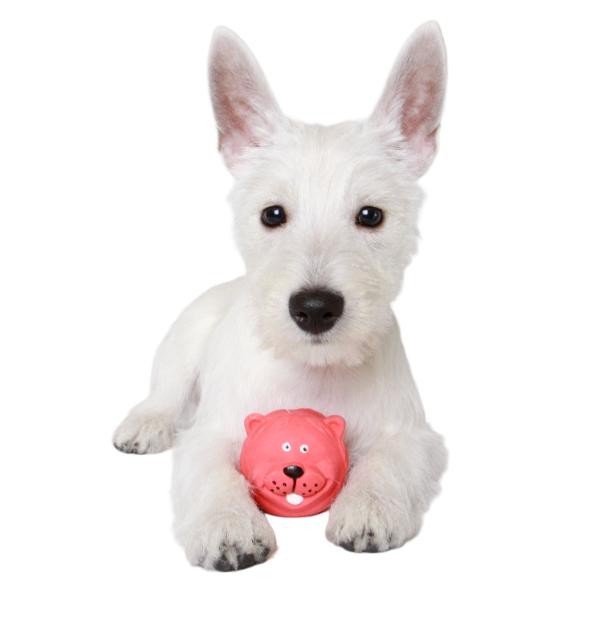 150-17×24″ Puppy Training Pads Extra Absorbent Low Price HQ Bulk Discounts