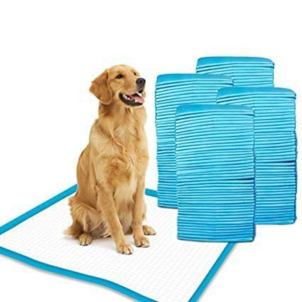 FPN Unscented Blue Potty Training Pads for Dogs 24×24″ Ultra-Absorbent UnderPads