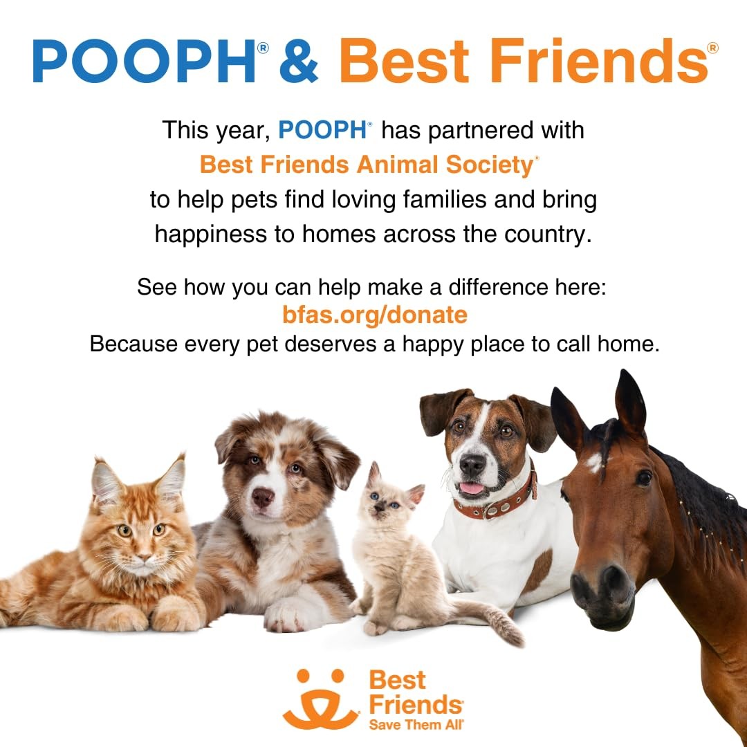 Potty Pads for Puppies, Seniors, Sick Pets – Leak-Proof, Absorbent, 50ct