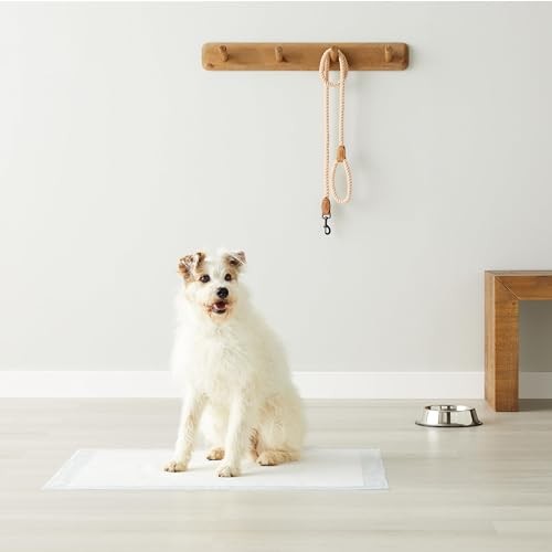Retailer Basics Leak-Proof Dog Pee Pads X-Large 28×34 Blue White 40-Pack