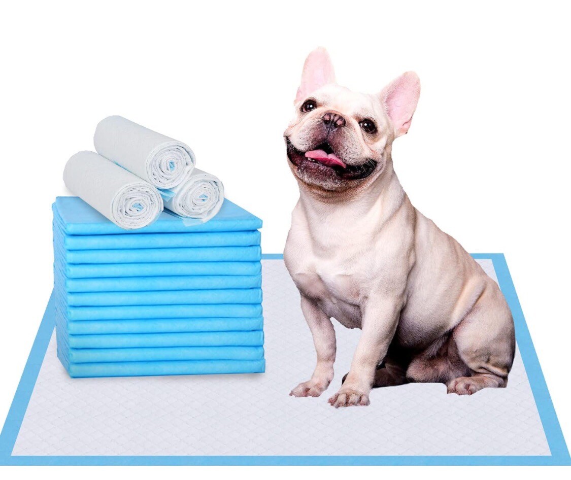 Pet Training Pads for Dogs Ultra-Absorbent Unscented Pet Pads 22×22