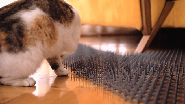 24 Pack Cat Spike Mat 16.5×13.4 Inch – Scat Mat for Indoor/Outdoor Training, Rep