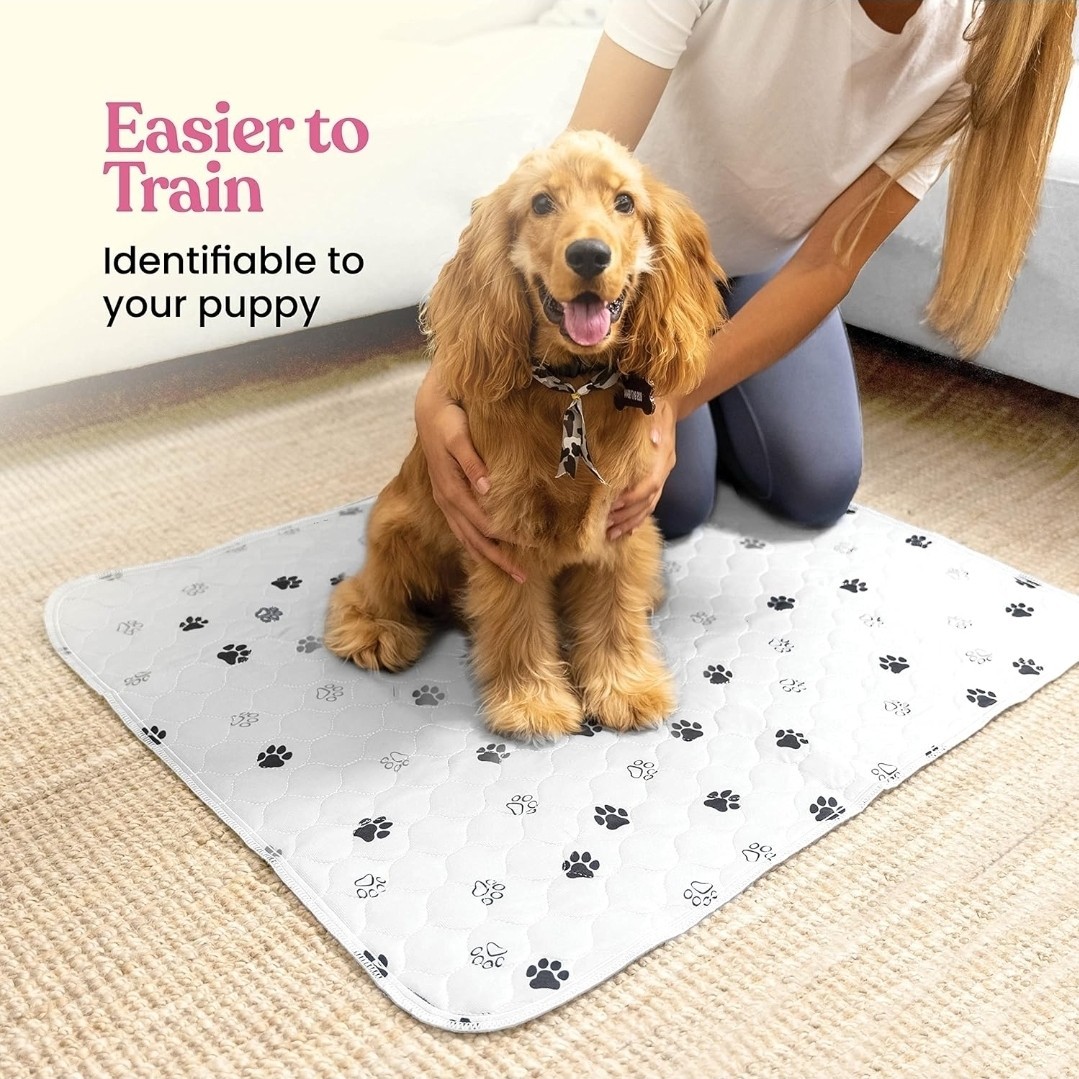 36″x48″ Super Absorbent Washable Pee Pads for Dogs 2 Pack
