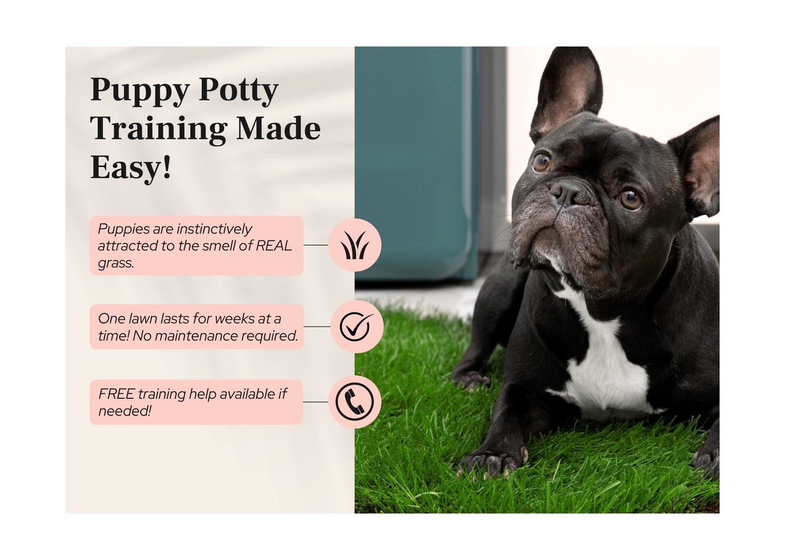 DoggieLawn Dog Potty – Real Grass – XLarge 24×48 inches XL Real Grass