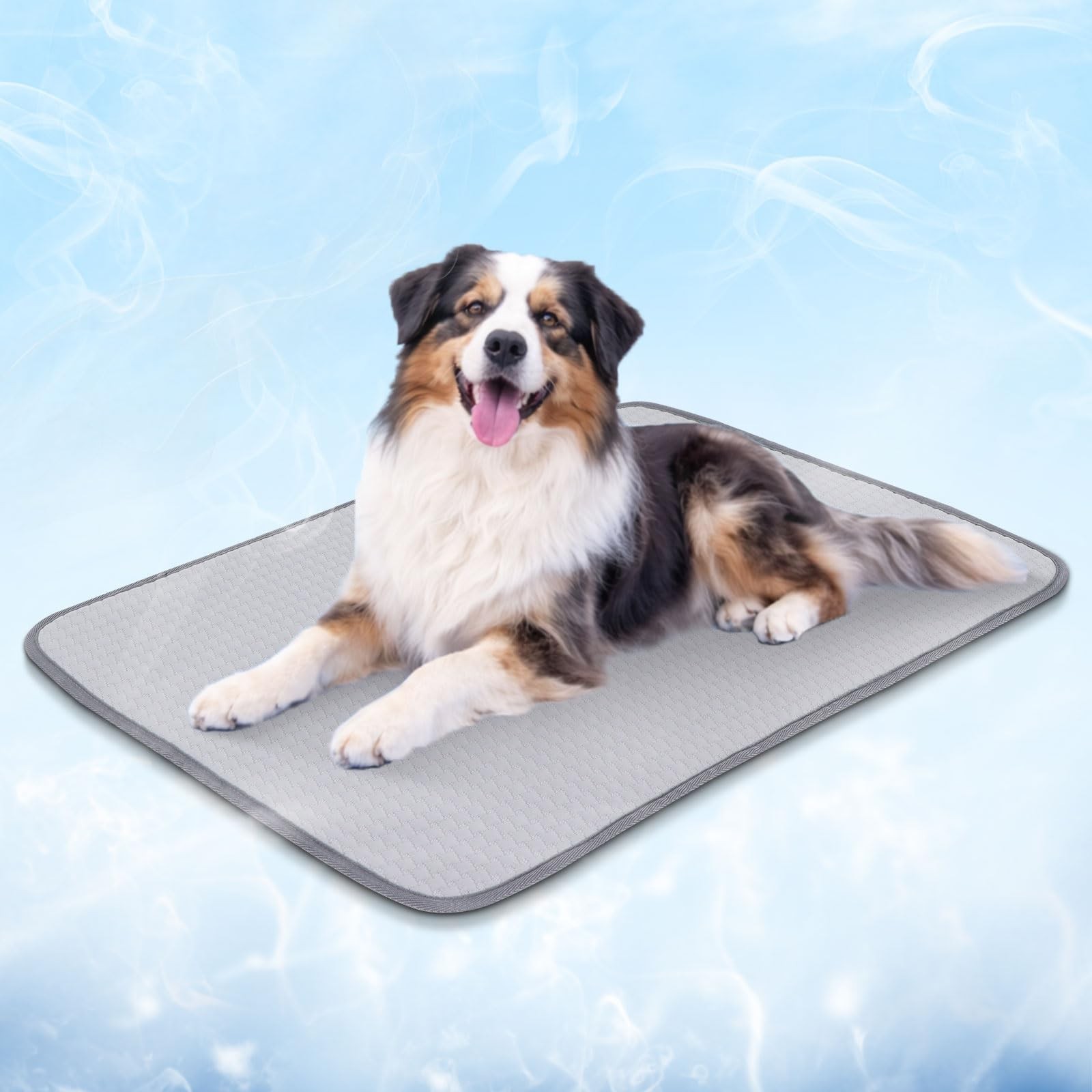 BVAGSS Dog Cooling Mat, Waterproof Foldable Cooling Pad for Dogs & Cats, Mach…