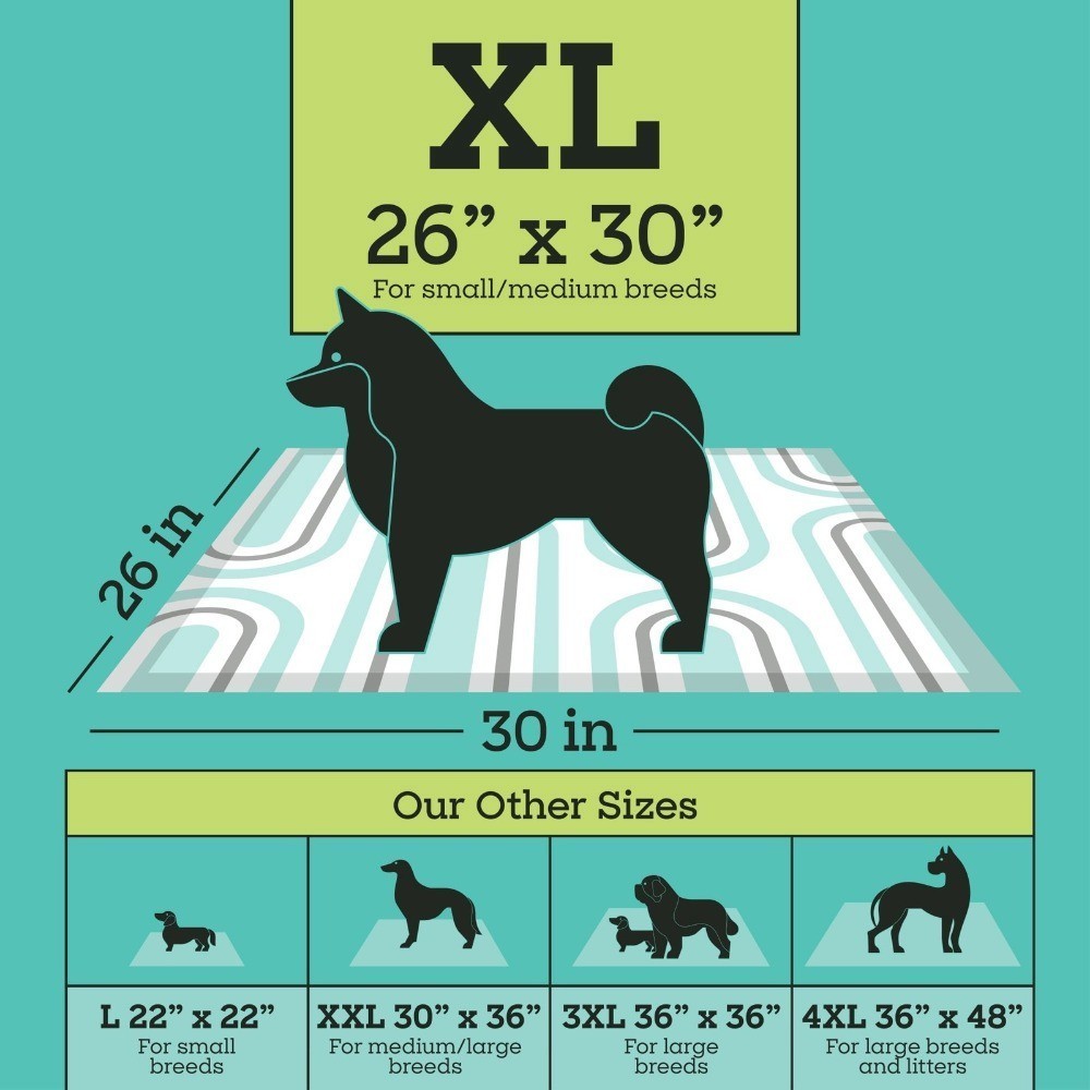 Dog Pads Large 22″x22″ 40ct W/ Leak-Proof & Quick Absorb For Puppy Training