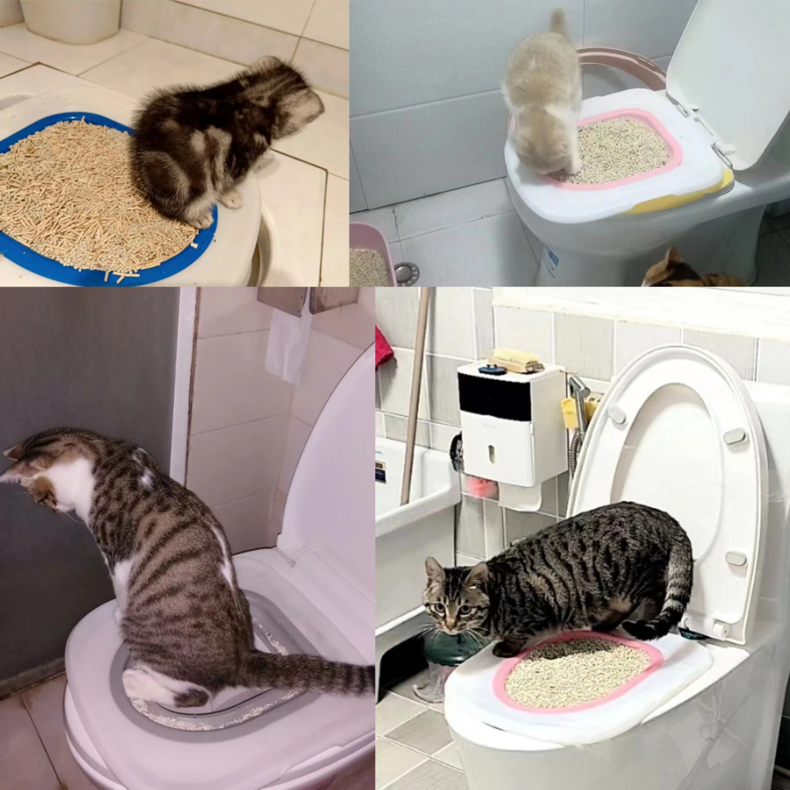 Pet Cat and Dog Toilet Training Artifact Kit Sand Tray Toilet Removable Reusable