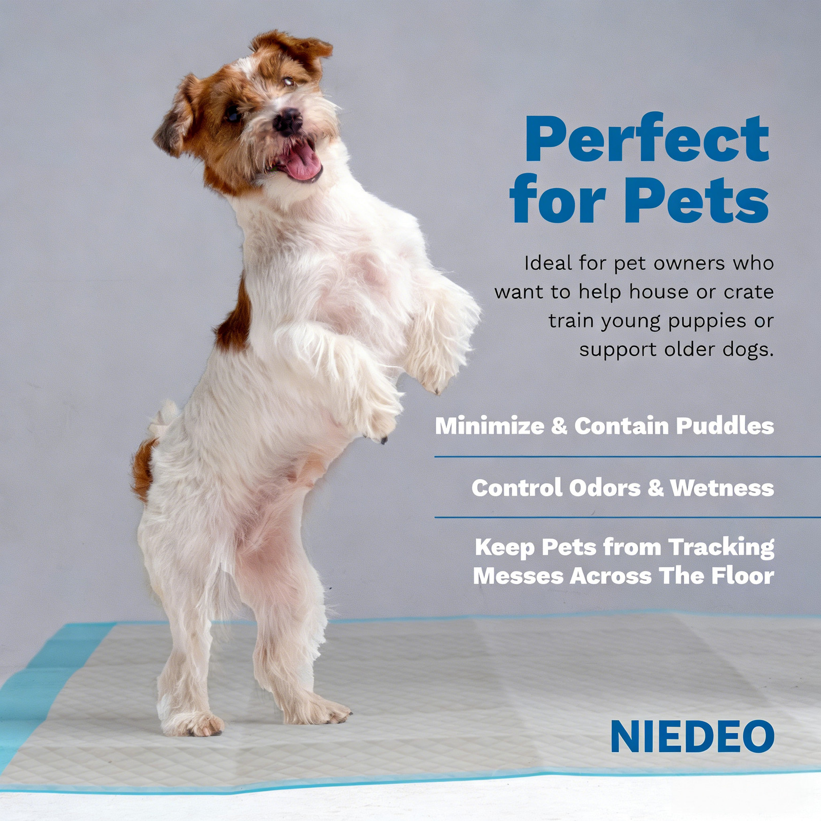 100PCS 28×34 Housebreaking Dog PEE Pads 24×24 Puppy Underpads House TrainingPads