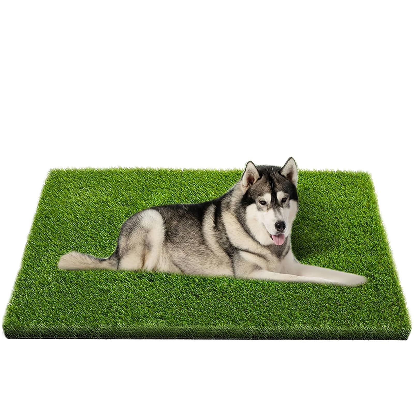 Artificial Grass, Professional Dog Grass Mat, Potty Training Rug and Replacem…