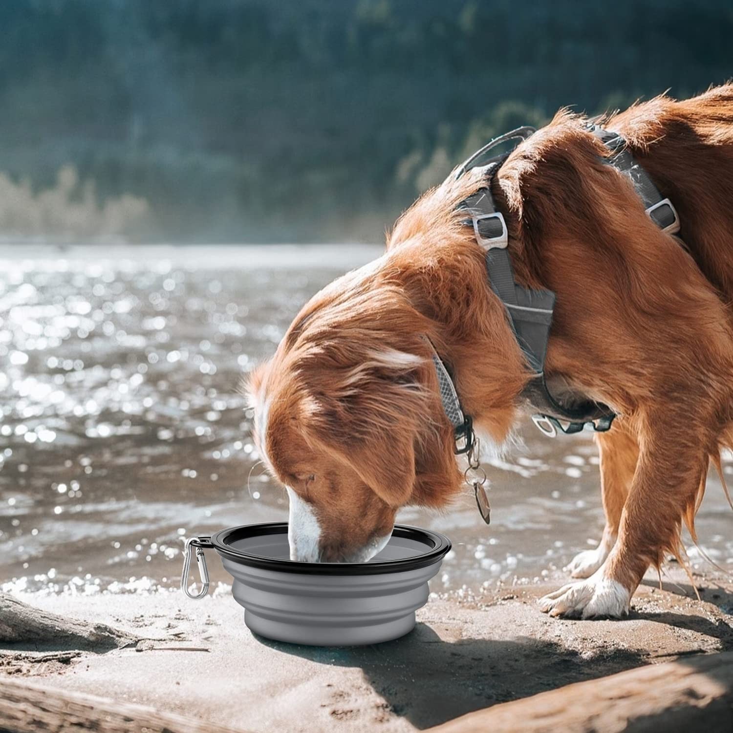 COOYOO Collapsible Dog Bowl,2 Pack Collapsible Dog Water Bowls for Cats Dogs,…