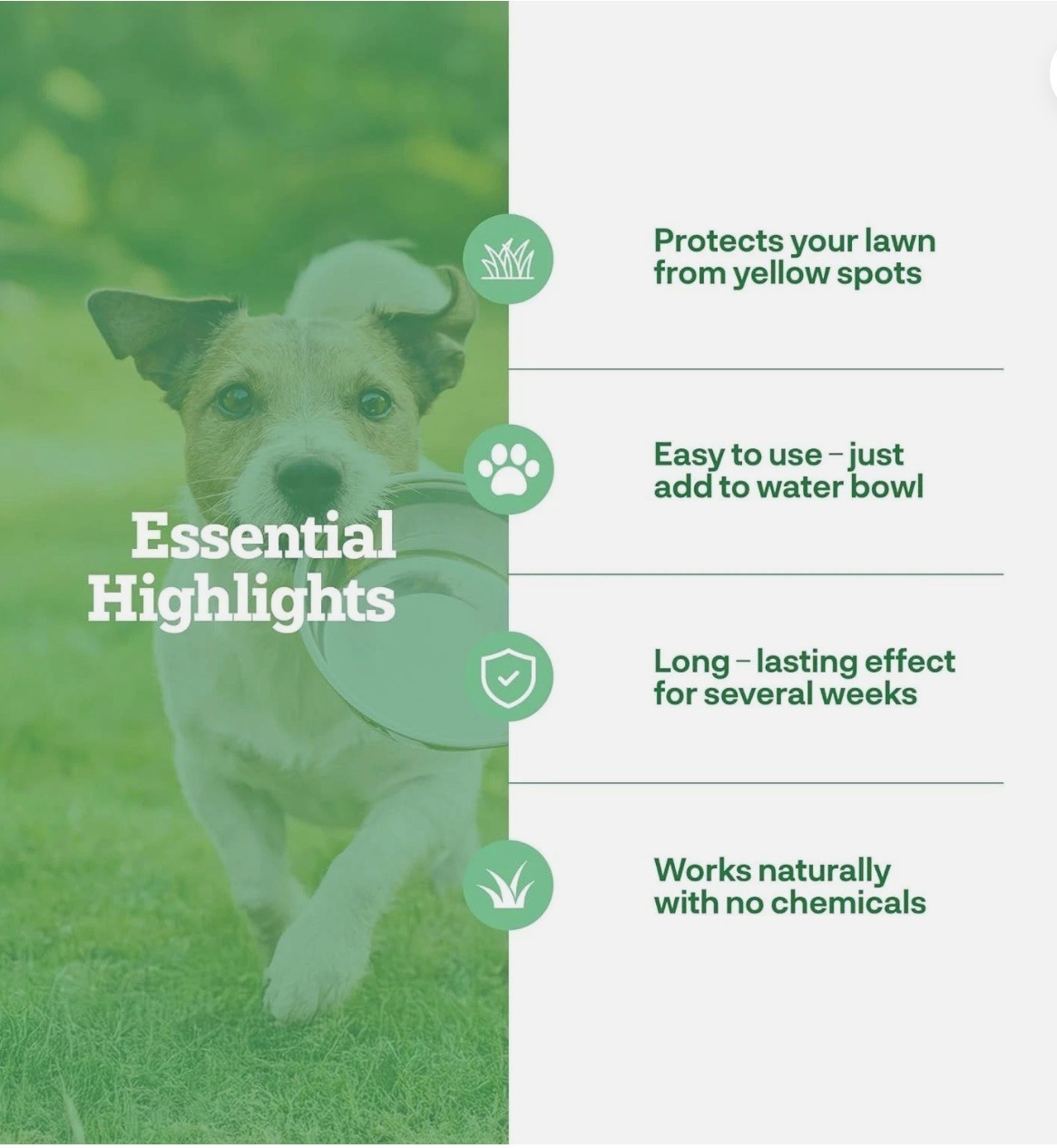 B20) NEW Dog Rocks for Urine Burning Grass 200g 100% Natural