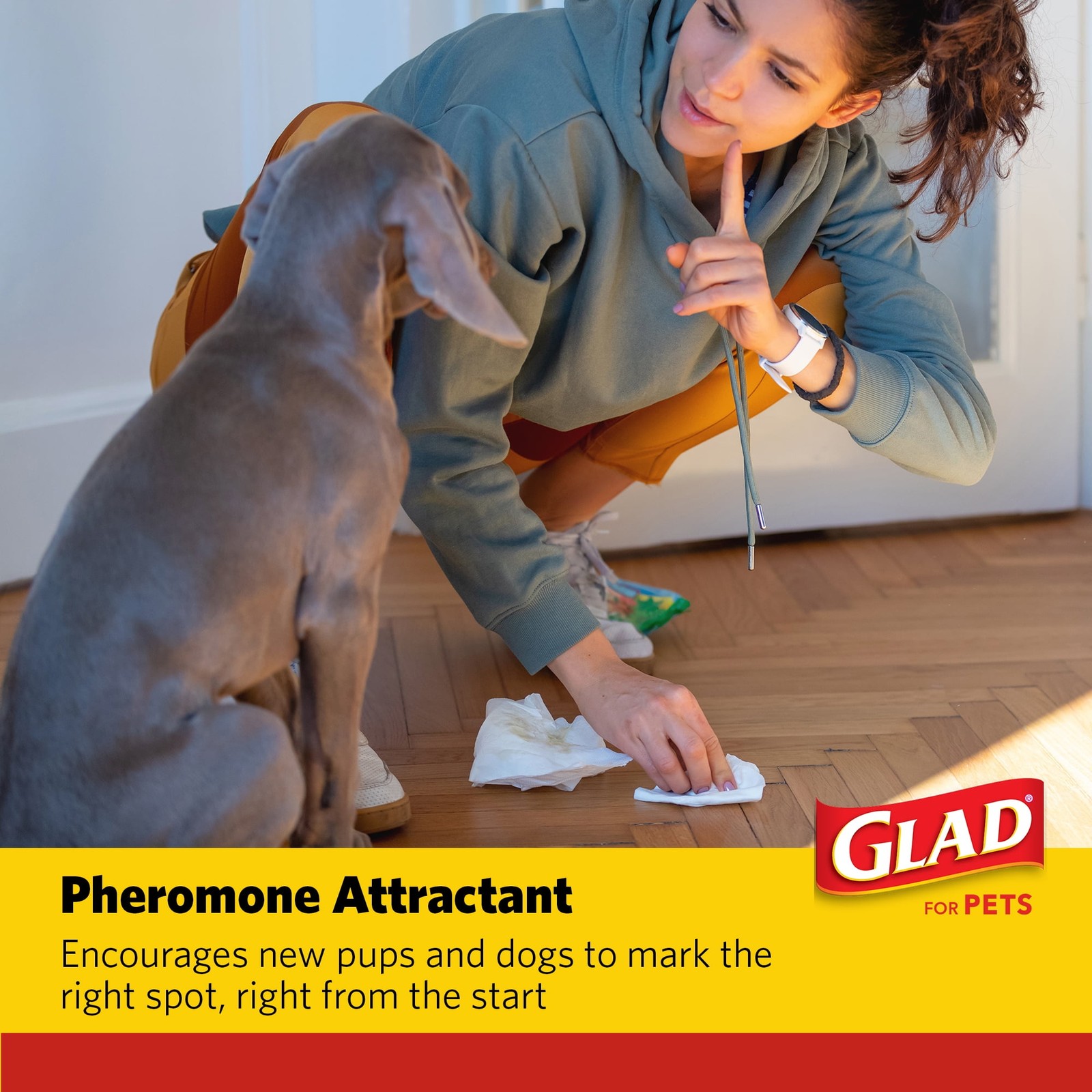 Glad Charcoal Dog Training Pads 23×23 100ct Leak-Resistant