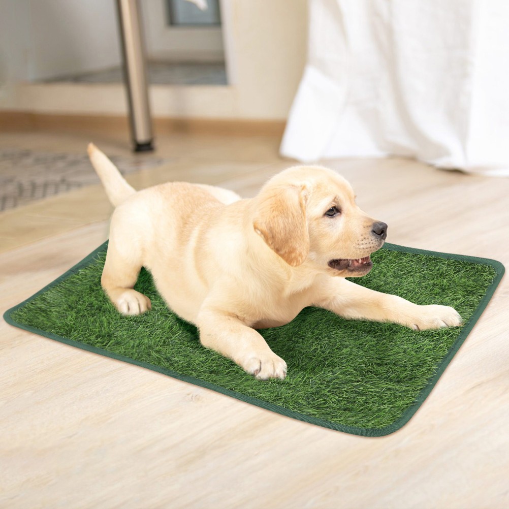 Indoor Outdoor Garden Decoration Pet Potty Training Grass Rug Fake for Dogs